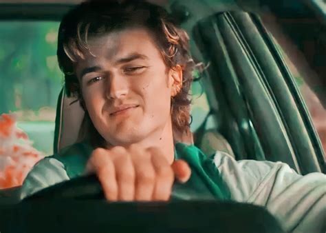 Steve Harrington Icons