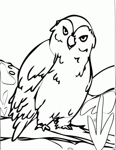 The ptarmigan is adapted to living in the canadian arctic all year round. Free Printable Arctic Animals Coloring Pages - Coloring Home