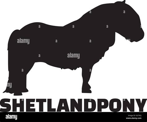 Shetland Pony Silhouette Hi Res Stock Photography And Images Alamy
