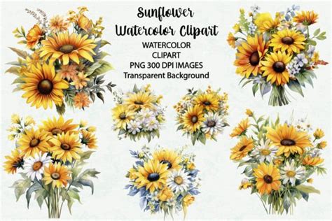 Sunflower Watercolor Flower Clipart Graphic By Siatia · Creative Fabrica