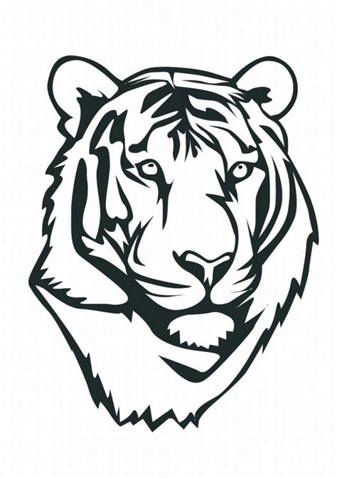 Coloring is much more than just a hobby for your little one and a busy activity to keep them busy for a while. Cute White Tiger Clipart | Clipart Panda - Free Clipart Images