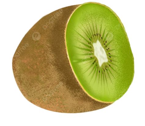 Fruit Kiwi Food Kiwi Fruit Png Transparent Image And Clipart For
