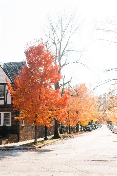 Fall Ombre Landscape Maintenance Fall Landscaping Fall Landscape