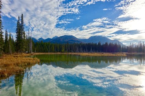 Free Images Landscape Water Nature Wilderness Meadow