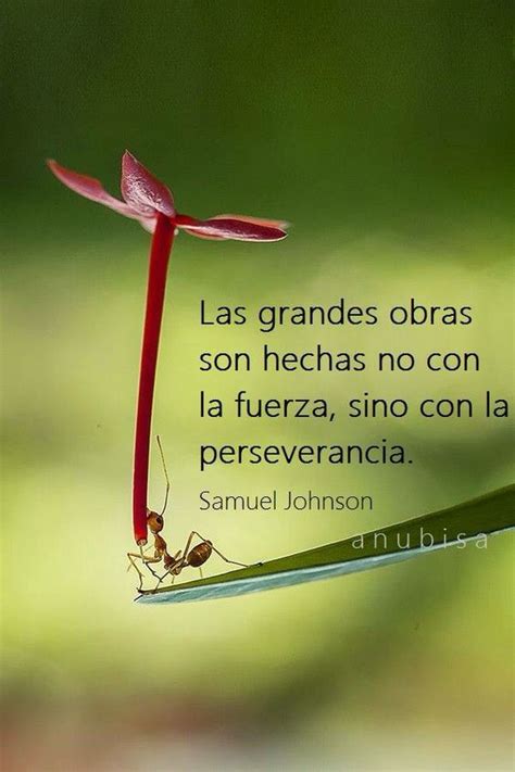 Frases De Perseverancia Para Niños Importancia De La Perseverancia