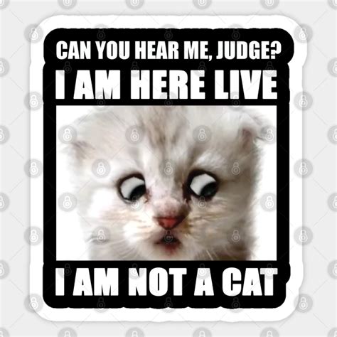 I Am Here Live I Am Not A Cat I Am Not A Cat Sticker Teepublic