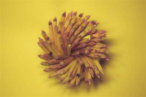 Free Images Pencils Art School Design Education Colorful Color
