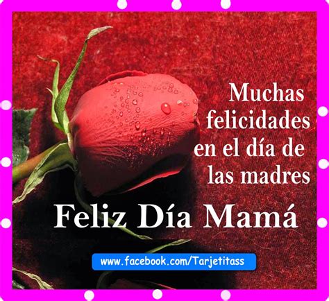 Feliz DÍa De Las Madres Muchas Felicidades Mamá En Tu Día