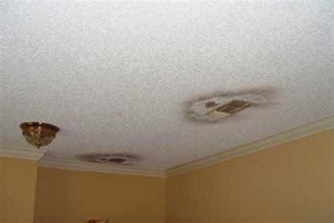 Mould can be a health hazard, not to mention the damage it does to your property. mold on ceiling fan