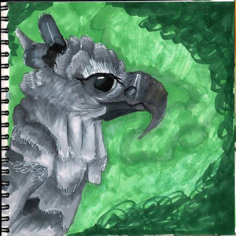 Harpy Eagle By Laheedoodles On Deviantart