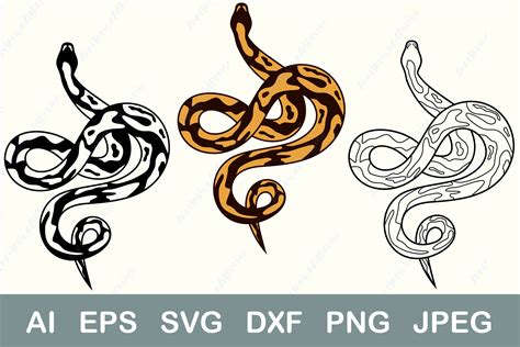 Ball Python Svg Snake Svg Grafik Von Anastasiyaartdesign · Creative