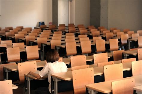 40 Japan Education System Facts All About School In Japan