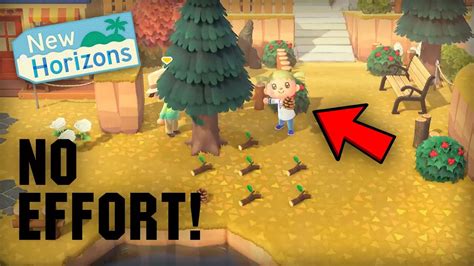 Animal Crossing New Horizons How To Get Pine Cones Acorns Really
