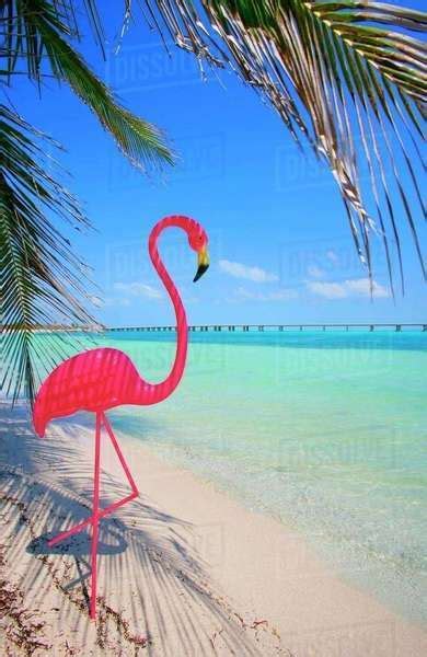 Pink Flamingo Decoration On Tropical Beach Stock Photo Dissolve
