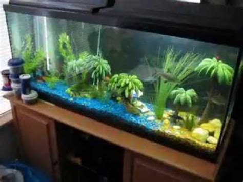 When there's so much to choose from, it can be hard to pick out exactly how you want your tank to look. Creative Diy fish tank decor ideas - YouTube