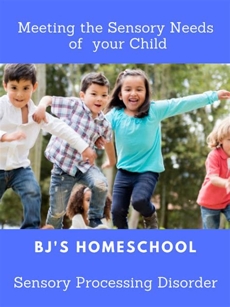 Bjs Homeschool Meeting The Sensory Needs Of Your 2e Child