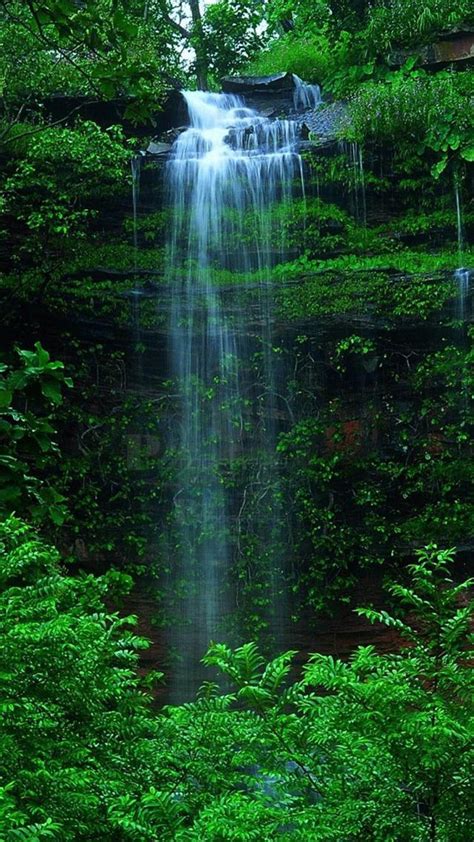 Nature Forest Waterfall Iphone 6 Wallpaper Download Iphone Wallpapers