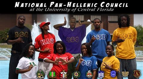 African American Panhellenic Council Greek Councils Fraternity And Sorority Life Ucf