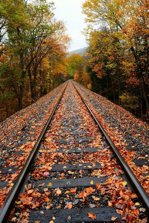 Rails To Fall Train Tracks Photography Railroad Track Pictures