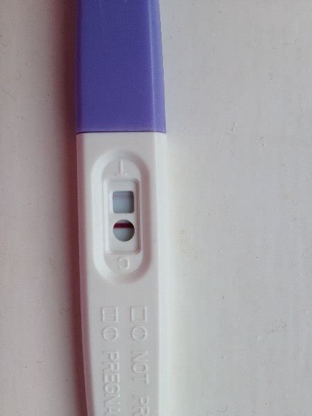 Boots Pregnancy Test Results Pregnancy Test