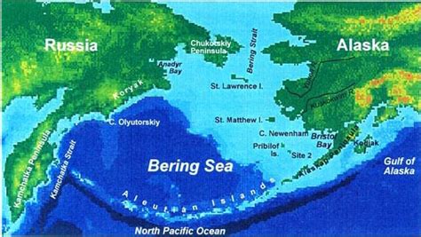 Pbs Harriman Vera Alexander The Bering Sea Ecosystem