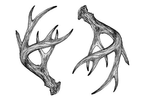 Pin by ninja vs bear on Tattoos and piercings | Antler tattoos, Country