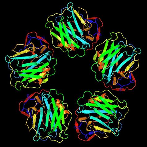 Ridker pm, rifai n, rose l, et al. C-reactive Protein Photograph by Alfred Pasieka/science ...