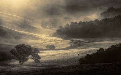 4553638 Landscape Italy Deer Nature Tuscany Mist Trees