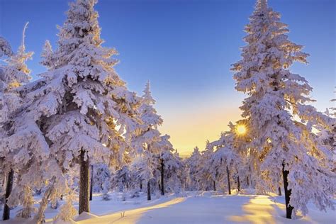 71 Winter Backgrounds ·① Download Free Hd Backgrounds For