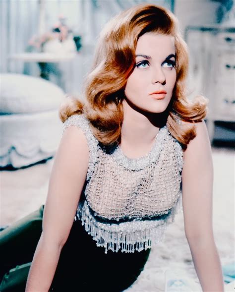 Vintage Hollywood Classics Ann Margret Vintage Hollywood Hollywood Actresses Dancer Lace Top
