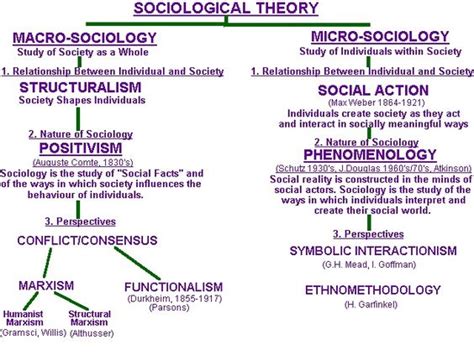 Sociological Theory Alchetron The Free Social Encyclopedia