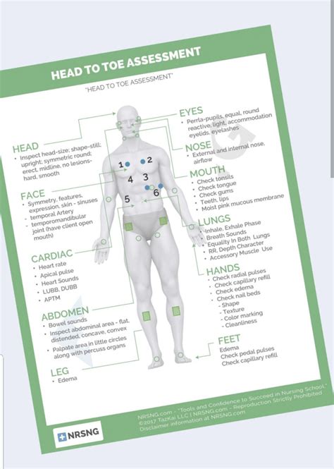 Head To Toe Assessment Checklist Head To Toe Assessme