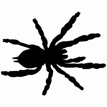 Tarantula Silhouette Spider Frightening Sticker Clipart Shutterstock