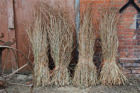 Bundles Of Natural Materials Sedges Cereals Reeds