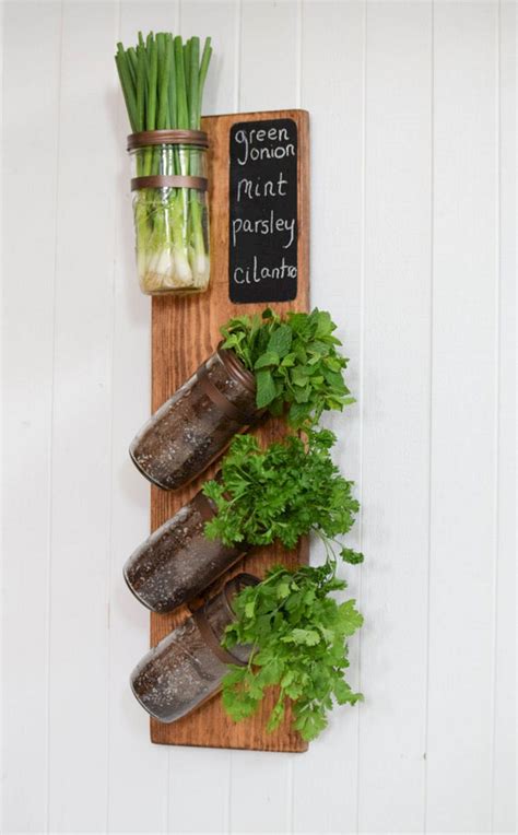 Pin By Betty Rutledge On Building Apartment Herb Gardens Indoor
