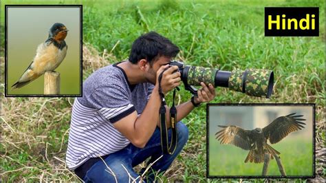 Not everything photography based has to be expensive. Best Lenses for Wildlife Photography | Wildlife ...
