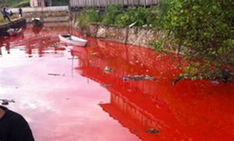 We did not find results for: Air Sungai di Pesantren Jadi Merah, Warga Kediri Merinding ...