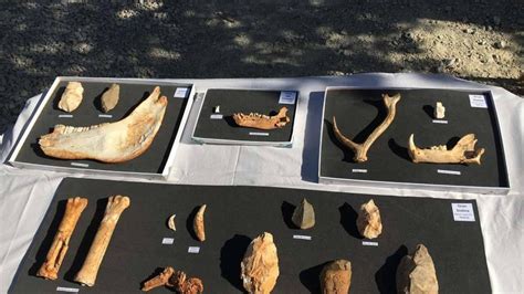 nuevos restos fósiles en atapuerca es el hallazgo más importante en años