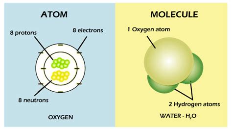 Difference Between Atom And Molecule Nauger