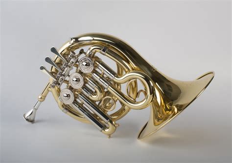 Mini Bb Pocket French Horn 3 Rotary Valves Tempest Musical Instruments