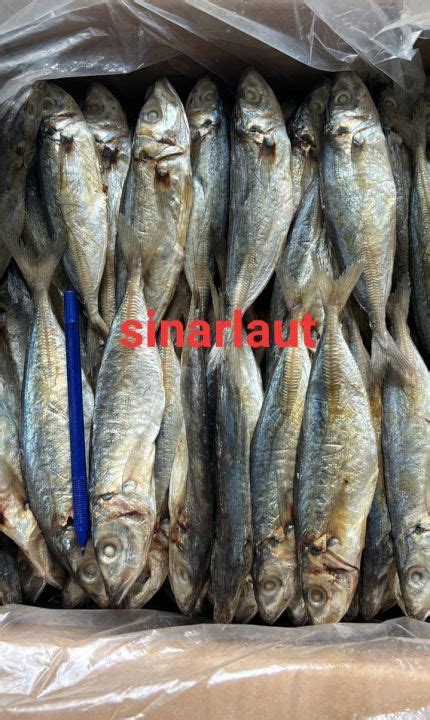 Ikan Asin Layang Rebusbolocot 250grm500grm1kg Lazada Indonesia