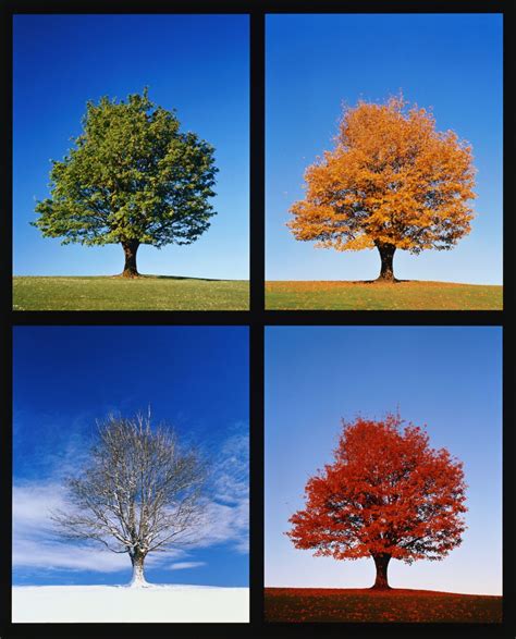 winter spring summer fall — now you can read about them all four seasons art seasons art