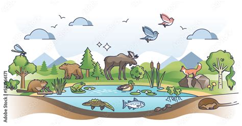 Ecosystem As Nature Habitat For Living Organisms And Animals Outline