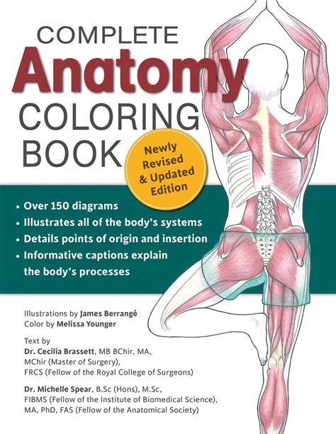 Anatomy Coloring Book Pages Free Printable Sketch Col