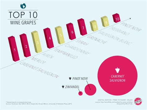 Top Wine Varieties Of The World Wine Folly