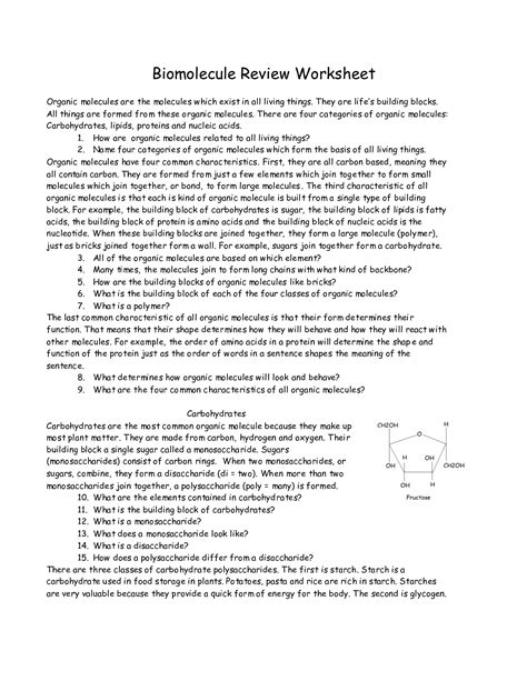 14 biological molecules worksheet answers / worksheeto.com