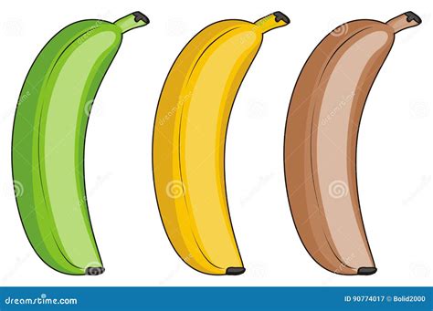 Three Different Bananas Stock Illustration Illustration Of Kitchen