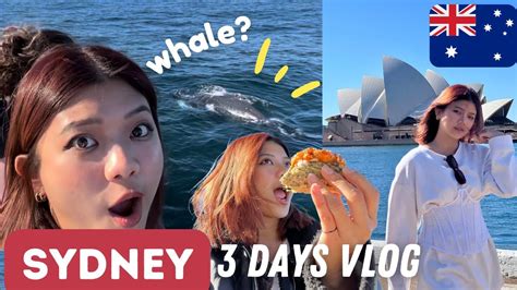 what to do in sydney if you have 3 days [city guide] whale watching sydney harbour youtube