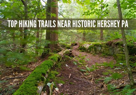 Top Hiking Trails Near Historic Hershey Pa