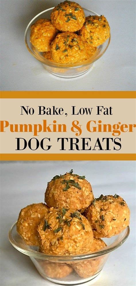 No more crumbling beef liver filling the bottom of the bag! Pin on dog treats